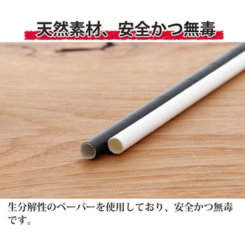 ペーパーストロー 中村