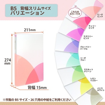 Pasty (パスティ) ルーズリーフバインダー スリム B5 プラス(文具)