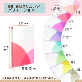 Pasty (パスティ) ルーズリーフバインダー スリム B5 プラス(文具)