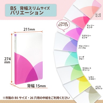 Pasty (パスティ) ルーズリーフバインダー スリム B5 プラス(文具)