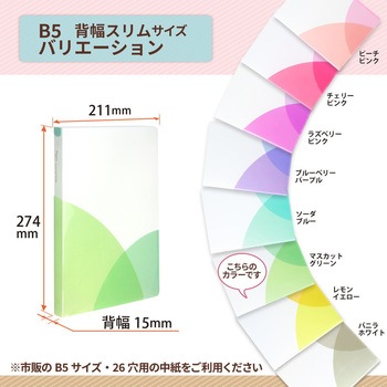 Pasty (パスティ) ルーズリーフバインダー スリム B5 プラス(文具)