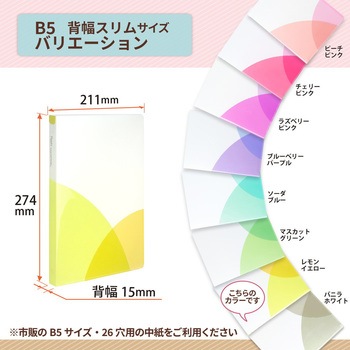 Pasty (パスティ) ルーズリーフバインダー スリム B5 プラス(文具)