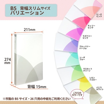 Pasty (パスティ) ルーズリーフバインダー スリム B5 プラス(文具)