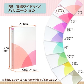 Pasty (パスティ) ルーズリーフバインダー ワイド B5 プラス(文具)