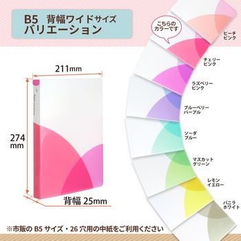 Pasty (パスティ) ルーズリーフバインダー ワイド B5 プラス(文具)