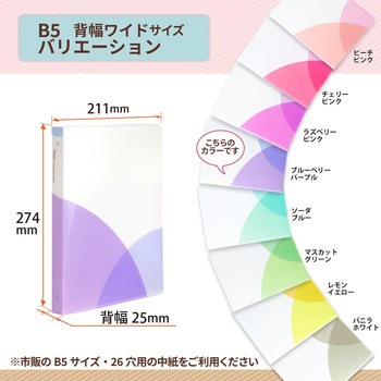 Pasty (パスティ) ルーズリーフバインダー ワイド B5 プラス(文具)