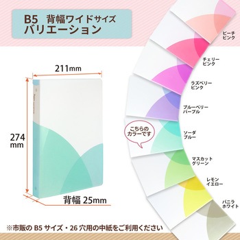 Pasty (パスティ) ルーズリーフバインダー ワイド B5 プラス(文具)