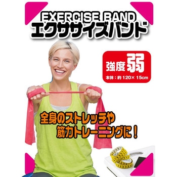 エクササイズバンド LITEC (ライテック)