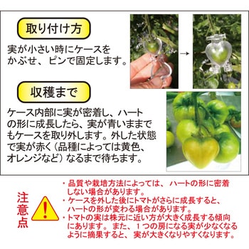 ハートのトマト 中玉トマト向き フォレスト