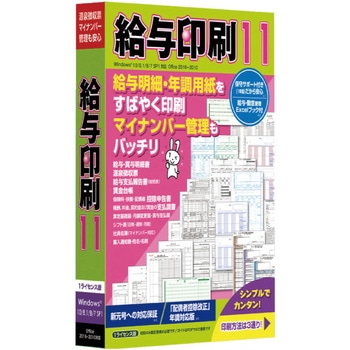 給与印刷11 PCソフト ティービー