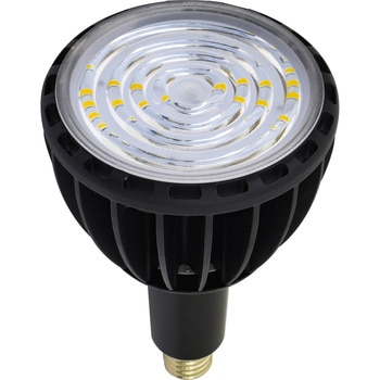 LED交換球 エコビック100W 日動工業
