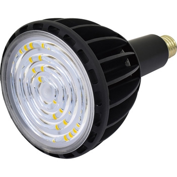 LED交換球 エコビック100W 日動工業