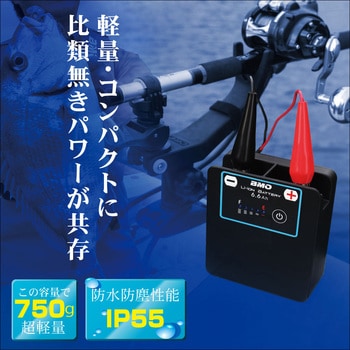 リチウムイオンバッテリー6．6Ah バッテリーのみ BMO JAPAN(ビーエムオージャパン)