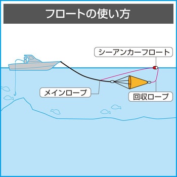 シンプルでおしゃれ パラアンカー（12FS） | sport-u.com