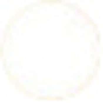 EASEL559 |XgCbg C[[pbh 3M(X[G) 42021544