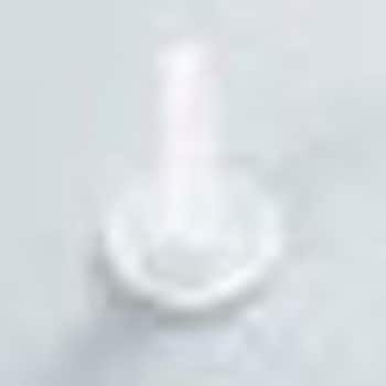 PF-HE |t@Xi[ LION (CI) 42205738