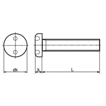 TRF/いたずら防止用ねじステンレスツー・ホールナベ小ねじ(ステンレス/ブラック)(小箱) サイマコーポレーション