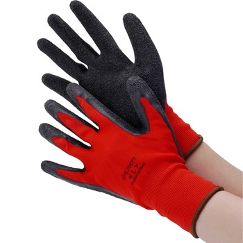 - �w������� ���� �V�R�S���R�[�g ���m�^���E 42814887