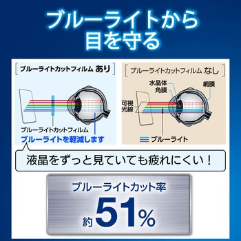 Nintendo Switch専用/液晶フィルム/ブルーライトカット/衝撃吸収/光沢 エレコム