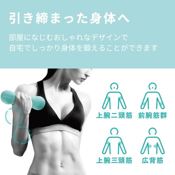 ダンベル スリムタイプ 筋トレ 1個入り 持ちやすい エレコムヘルスケア