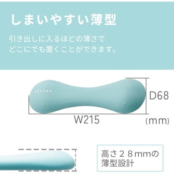 ダンベル スリムタイプ 筋トレ 1個入り 持ちやすい エレコムヘルスケア