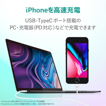 Lightningケーブル C-Lightning 認証品 USB タイプC ライトニング スマートフォン タブレット エレコム