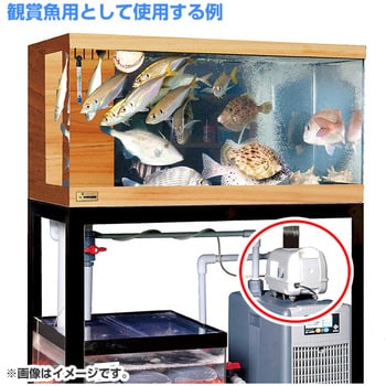 浄化水用 観賞魚用 エアーポンプ ゼンスイ 【通販モノタロウ】