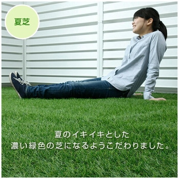 人工芝 防草シート付き YAMAZEN(山善)