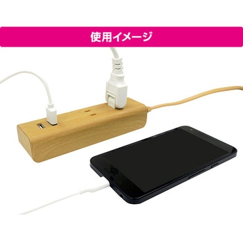 USB付きタップ TOPLAND