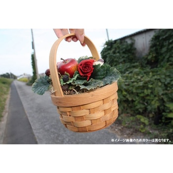 ウッディミニ丸手付 SG Wonder zone