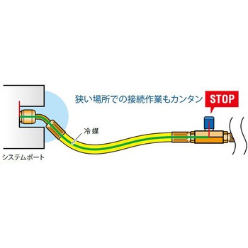 ショートホース アサダ