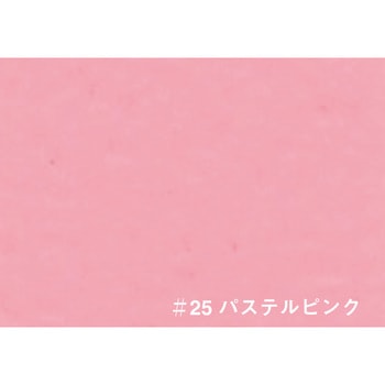 T.ビッグアートカラー ターナー色彩