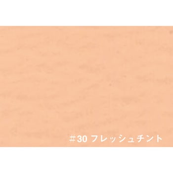 T.ビッグアートカラー ターナー色彩