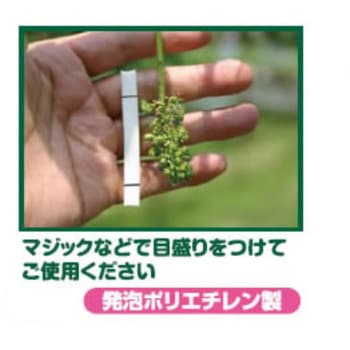 ぶどう房づくりメジャー ハカル君 サボテン