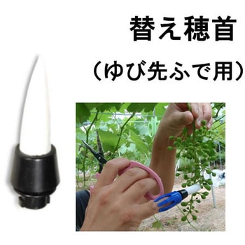 ゆび先ふで サボテン