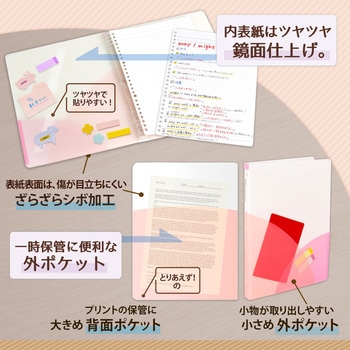 Pasty (パスティ) ルーズリーフバインダー B5 PLUS(プラス)[文具]