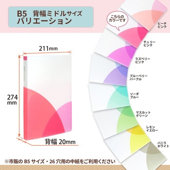 Pasty (パスティ) ルーズリーフバインダー B5 PLUS(プラス)[文具]