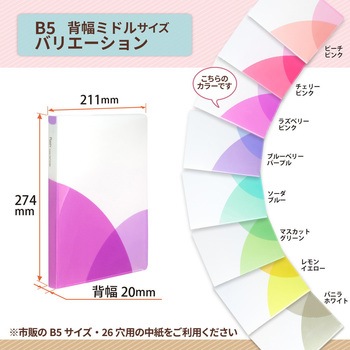 Pasty (パスティ) ルーズリーフバインダー B5 PLUS(プラス)[文具]