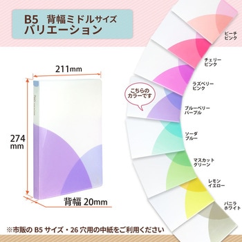 Pasty (パスティ) ルーズリーフバインダー B5 PLUS(プラス)[文具]