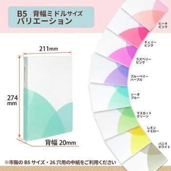 Pasty (パスティ) ルーズリーフバインダー B5 PLUS(プラス)[文具]