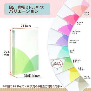 Pasty (パスティ) ルーズリーフバインダー B5 PLUS(プラス)[文具]