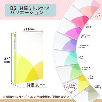 Pasty (パスティ) ルーズリーフバインダー B5 PLUS(プラス)[文具]