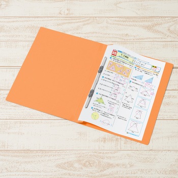 年組氏名 フラットファイル PLUS(プラス)[文具]