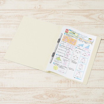 年組氏名 フラットファイル PLUS(プラス)[文具]