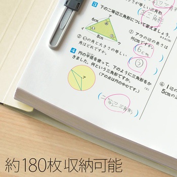 年組氏名 フラットファイル PLUS(プラス)[文具]