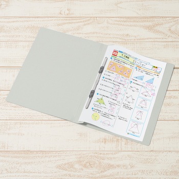 年組氏名 フラットファイル PLUS(プラス)[文具]