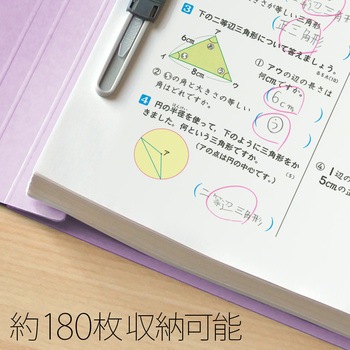 ねんくみなまえ フラットファイル PLUS(プラス)[文具]