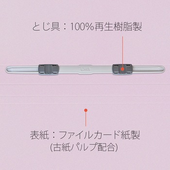 ねんくみなまえ フラットファイル PLUS(プラス)[文具]
