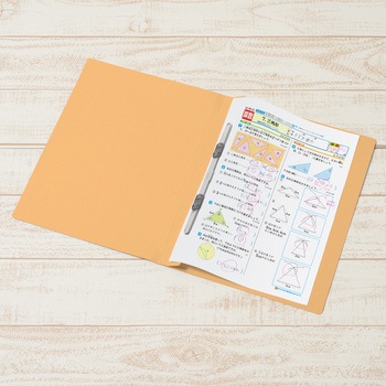 ねんくみなまえ フラットファイル PLUS(プラス)[文具]