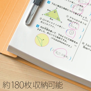 ねんくみなまえ フラットファイル PLUS(プラス)[文具]